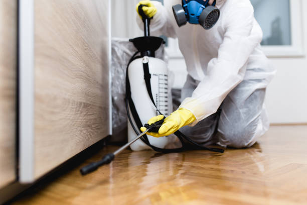 Best Flea Control Services  in San Rafael, CA
