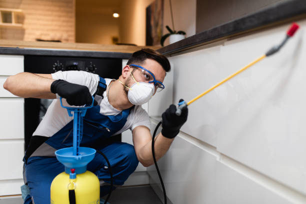 Best Commercial Pest Control Services  in San Rafael, CA