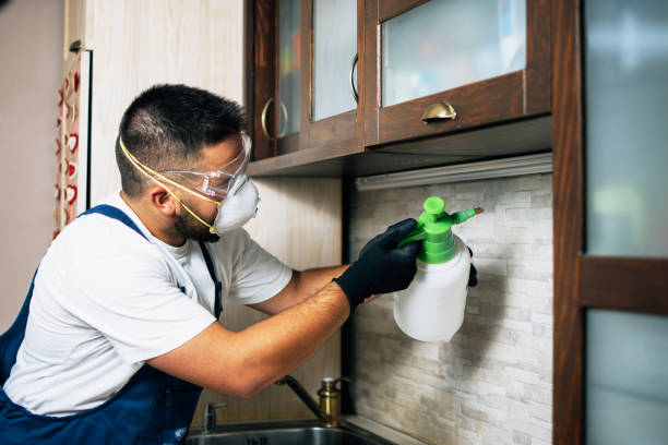 Trusted San Rafael, CA Pest Control Experts