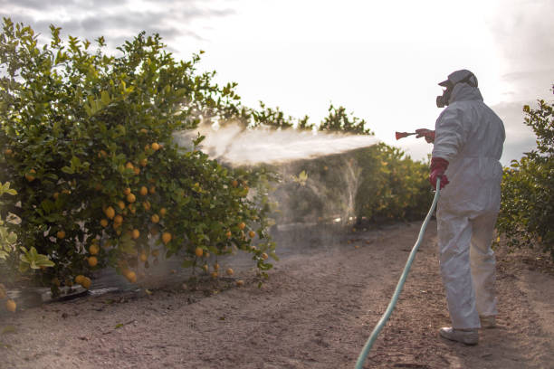  San Rafael, CA Pest Control Pros
