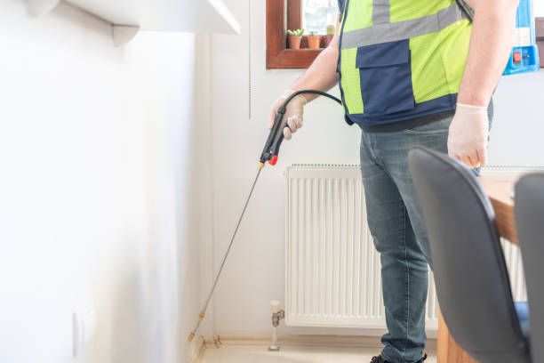 Best Affordable Pest Control Services  in San Rafael, CA
