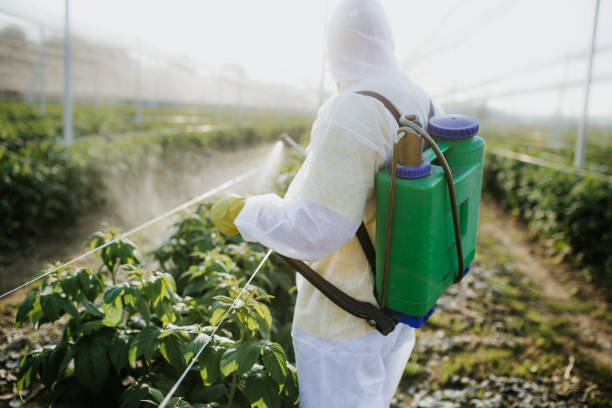 Best Affordable Pest Control Services  in San Rafael, CA